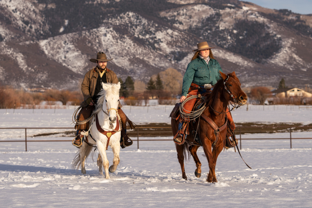 horses in Utah getting ready for transportation